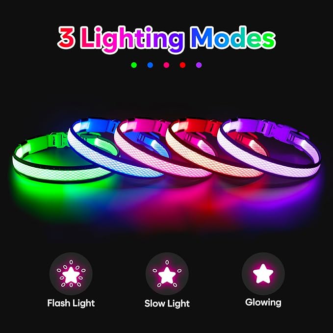 LED Dog Collar, Light Up Dog Collar USB Rechargeable, Brightest Dog Lights for Night Walking, Adjustable Dog Collar Light for Dog Safety(Small, Royal Blue)