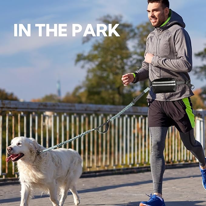 Hands Free Dog Leash with Pouch,Double Leash for Two Dogs