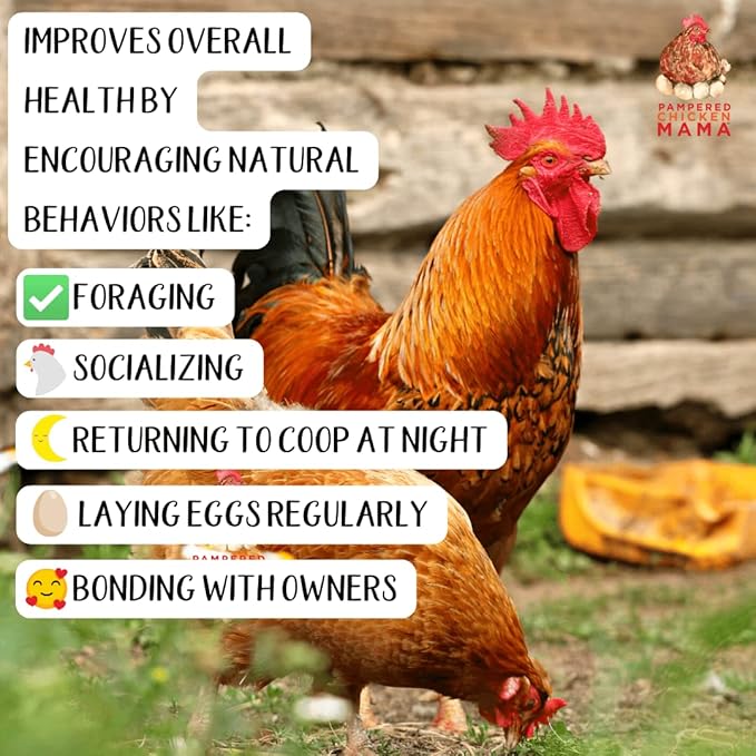 Pampered Chicken Mama Backyard Chicken Molting Supplement: Fluffiest Feathers Ever Backyard Chicken Feed and Supplies for Hens (6 Pound Economy Size)