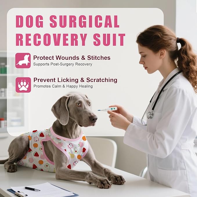 Recovery Suit for Dogs After Surgery, Professional Dog Surgical Suit for Female Spay, Male Neuter, E-Collar & Cone Alternative Dog Onesie for Abdominal Wounds Skin Disease, Fruit, S