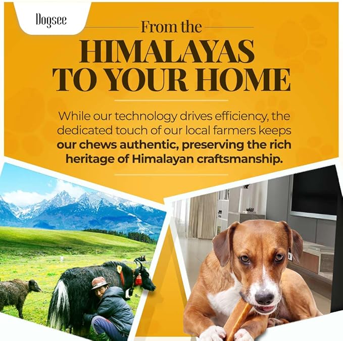 Dogsee Original Yak Cheese Himalayan Dog Chews 1lb (Large - 4 Bars) | 100% All Natural | Dog Treats Large Breed | Dog Chews Long Lasting for Aggressive Chewers | High Protein Dental Sticks