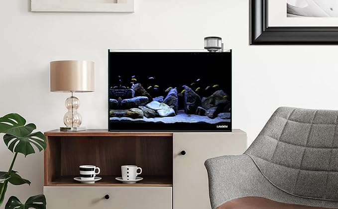 Landen 60P 26.23 Gallon Ultra Clear All Glass Rimless Low Iron Aquarium Tank with Rear Filtration Chamber for Salt and Fresh (Return Pump Included) 23.6Wx17.7Dx15.8H in(60x45x40cm) 8mm Thickness