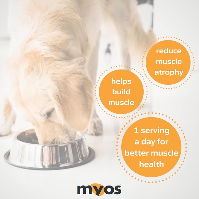 MYOS Canine Muscle Formula - All-Natural Muscle Building Supplement - Helps Reduce Muscle Loss in Aging Dogs and Improve Recovery from Injury or Surgery