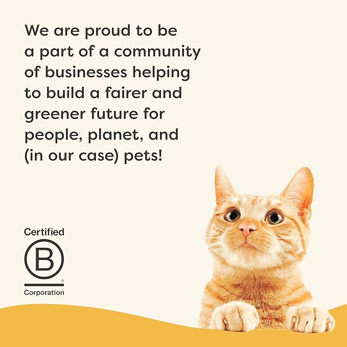 Applaws Vitality Wet Cat Food in Broth, Natural Canned Cat Food, Wet Food for Cats with Added Vitamins and Minerals, Grain Free, Carrageenan Free, Chicken Breast in Broth (24 Count, 5.5oz Cans)