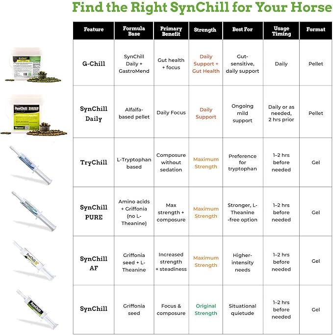 SynChill Oral Horse Calming Gel, 100% Natural & Nutritional Supplement, Lab Proven Results, Designed for Focus & Performance, Approved by Olympic Professionals & Veterinarians, Made in USA - 1 Pack