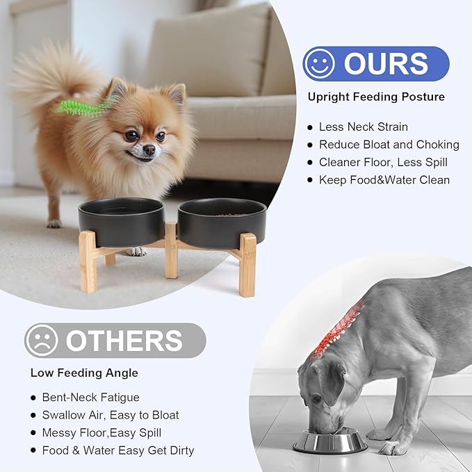 SPUNKYJUNKY Elevated Dog Bowls Ceramic, 5.1'' Dogs and Cat Food Water Bowls Raised with Non-Slip Bamboo Stand for Puppy Small Sized Breed Microwave Dishwasher Safe - 13.5 OZ,Black