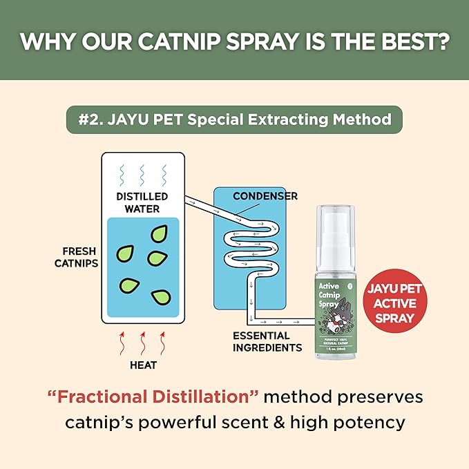 JAYU PET Active Catnip Spray - High Potency Transparent Liquid Spray made of Fresh Organic Catnip for Indoor Cats and Kittens, Relieves Stress, Calming, Revives Toys (1fl oz) (Catnip Spray, 1fl oz)