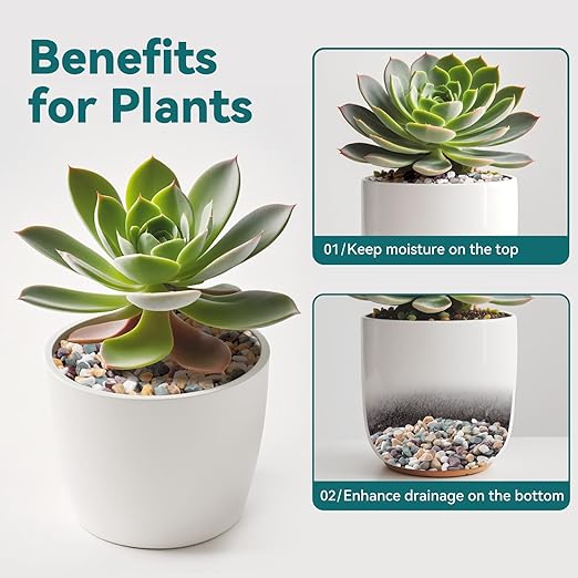 2.5 lbs Natural Pea Gravel Pebbles for Aquarium, Fish Tank, 3/8 inch Decorative Pebbles for Indoor Plants, Succulent, Bamboo, Vase, Drainage Rocks for Potted Plants, Top Dressing, Mixed Color