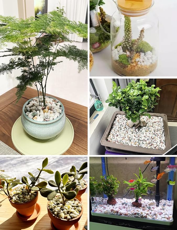 Mixed Color Decorative Rocks Stones Pebbles for Plants Garden Gravel White Rocks with Yellow, Green Pastel Accents Vase Filler Rocks Natural Stone Top Dressing for Potted Plants Succulents 2.2 lbs