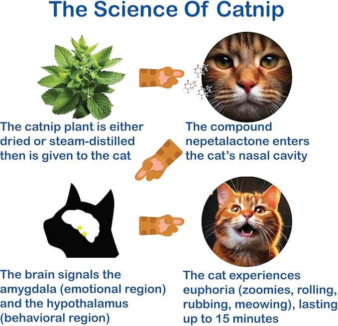 The Cat's MeWow 100% Pure Catnip - All Natural, Non-Addictive Treat for Cats & Kittens