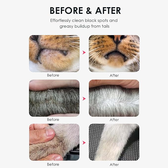 Mooncat Cat Acne Chin Treatment Oil & Cleaner - Feline Chin Acne Care for Blackheads, Kitty Acne, Cat Chin Acne Cleaner, Fast Acting, No-Rinse Ease (Wipe Off), Safe Lickable - 5 fl oz (150ml)