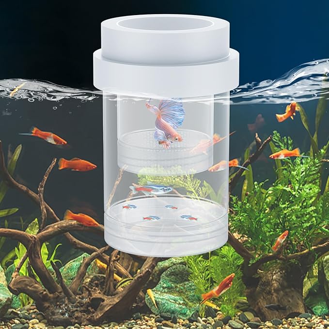 Pawfly Breeder Box for Fish Tank, Aquarium Fish Breeding Box, Floating Guppy Breeder Box, Baby Fish Separator for Aquarium, Plastic Hatchery Incubator Isolation Box for Shrimp Betta Clownfish, Medium