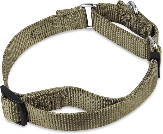 Hyhug Martingale Dog Collar Without Buckle: Escape-Proof, No Slip Heavy Duty Nylon, Colorfast Adjustable Pet Supplies for Small Breeds(Small, Military Green)