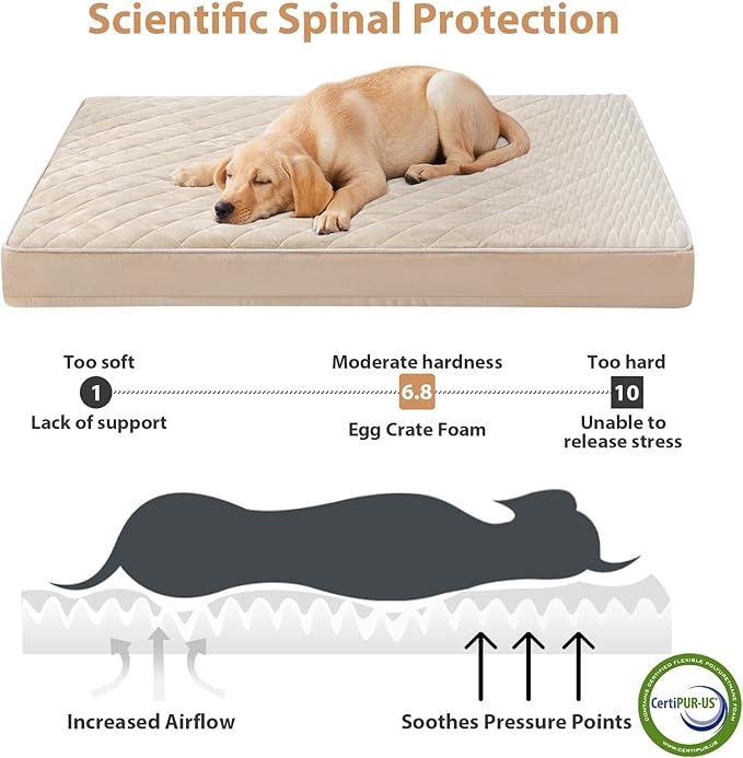 WNPETHOME Orthopedic XXL Dog Beds Large Sized Dog, Waterproof Extra Large Dogs Bed with Removable Washable Cover, Multi-Needle Quilting Dogs Crate Bed