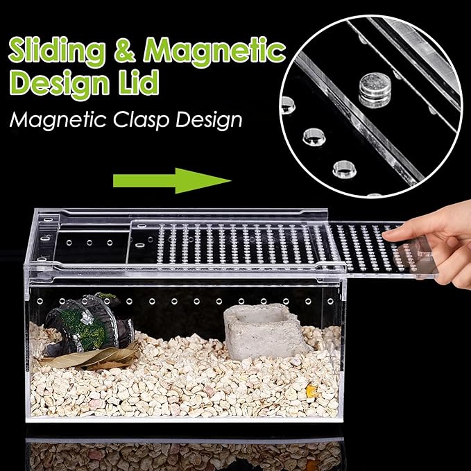 Reptile Terrarium Enclosure 8"x6"x4" Acrylic Tarantula Breeding Box Magnetic Hermit Crab Habitat Tank Transparent Jumping Spider Cage for Lizard Scorpion Sling Isopods Invertebrates Insect