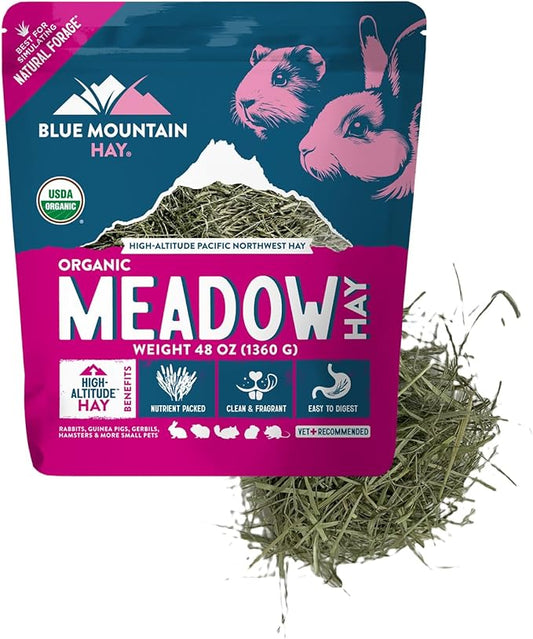 Blue Mountain Hay | Fresh Organic Meadow Hay (48 Ounce) | Mimics Natural Forage | High-Altitude Hay Pet Food for Rabbits, Guinea Pigs, Chinchillas, Hamsters, and Other Small Pets