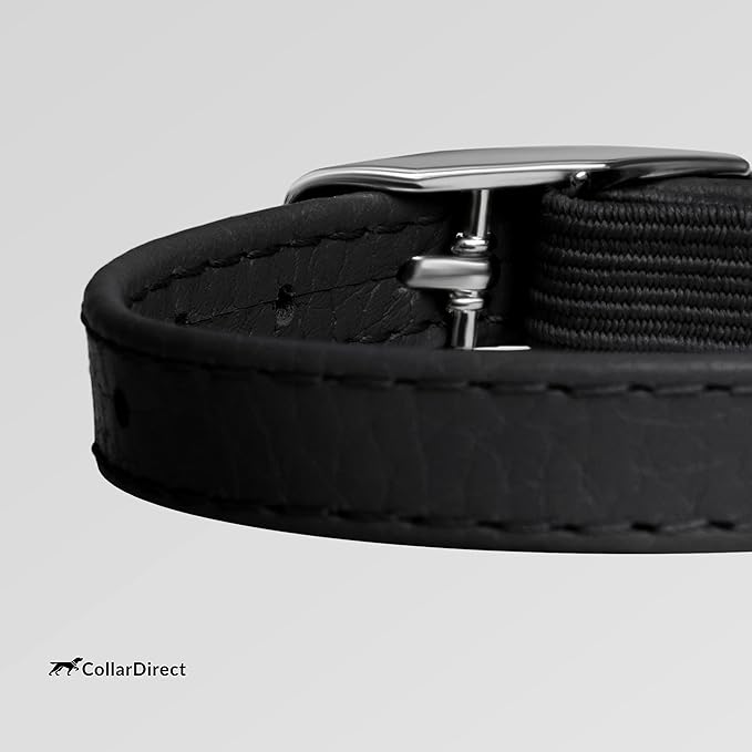 CollarDirect Leather Cat Collar, Cat Safety Collar with Elastic Strap, Kitten Strap with Bell Black Blue Red Orange Lime Green (6-7 Inch, Black)