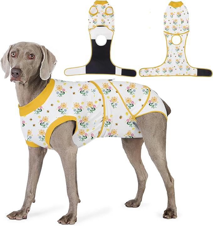 Recovery Suit for Dogs After Surgery, Professional Dog Surgical Suit for Female Spay, Male Neuter, E-Collar & Cone Alternative Dog Onesie for Abdominal Wounds Skin Disease, Yellow, M