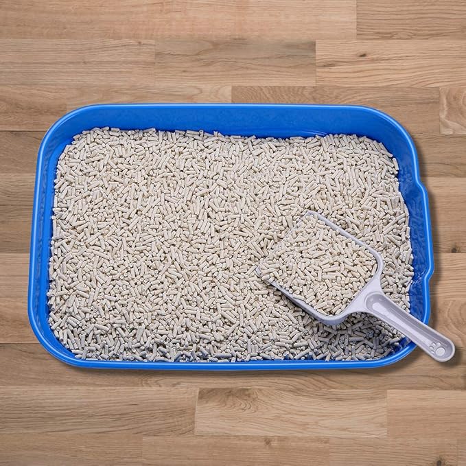 Kitty Litter Box Starter Kit - Small Cat Litter Pan Without Lid, Litter Mat, Scoop and Bowl for Kitten Within 3 Months (GreyScoop)