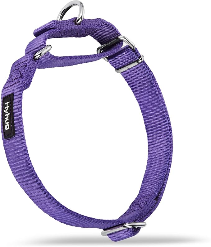 Hyhug Pets Premium Upgraded Heavy Duty Nylon Anti-Escape Martingale Collar for Pup Dogs Comfy and Safe - Professional Training, Daily Use Walking. (Small, Ultra Violet)