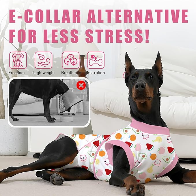 Recovery Suit for Dogs After Surgery, Professional Dog Surgical Suit for Female Spay, Male Neuter, E-Collar & Cone Alternative Dog Onesie for Abdominal Wounds Skin Disease, Fruit, M