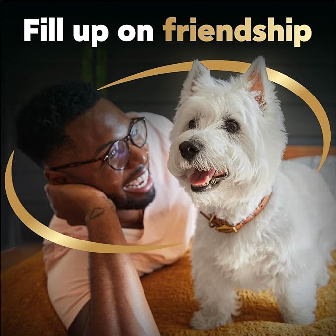 Cesar Filets in Gravy Wet Dog Food Rotisserie Chicken Flavor, 1.76 oz. Mini-Pouch (20 Count, Pack of 1)