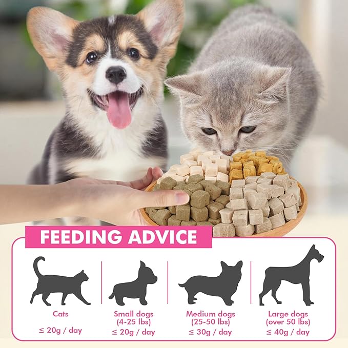 Freeze Dried Cats & Dogs Raw Treats, All Natural Single Ingredient Duck Breast, High Protein Healthy Pet Training Treats or Food Topper, 3.5 oz