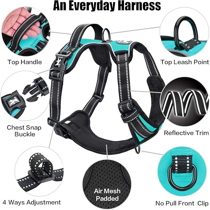 PoyPet No Pull Dog Harness, Reflective Comfortable Vest Harness with Front & Back 2 Leash Attachments and Easy Control Handle Adjustable Soft Padded Pet Vest for Small to Large Dogs (Mint Blue,XS)