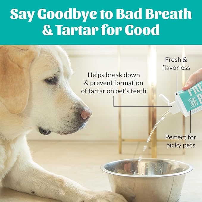 SKOUT'S HONOR Fresher Breath Water Additive for Pets - VOHC Accepted for Tartar Control, Freshens Breath Fast, No Brushing Required: Fresh & Flavorless 16oz - 3 Pack
