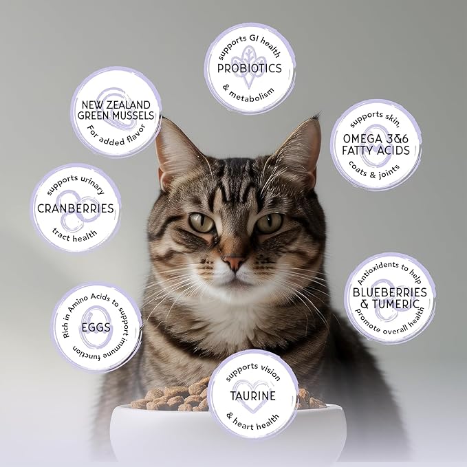 Blackwood Bounty Dry Cat Food, Cod & Carp Recipe for All Life Stages, 10 Pound Bag, High Protein, Grain Free