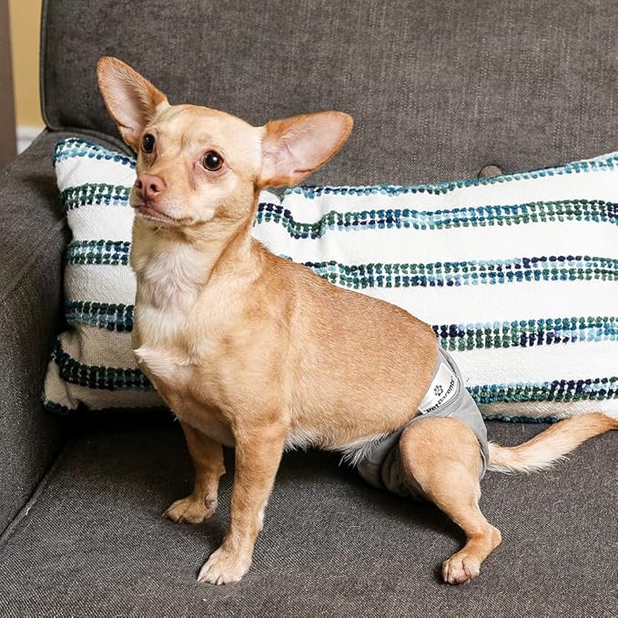 Pet Parents® Washable Dog Diapers (3pack) + Extendrs® of Durable Doggie Diapers, Premium Dog Diapers Female (Small, Natural)