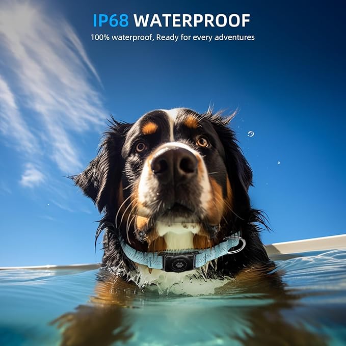 Upgraded AirTag Dog Collar, IP68 Waterproof Air Tag Dog Collar Holder, Reflective, Ultra-Durable, Comfortable Padded, Heavy Duty Dog Collars for Small Medium Large Dogs (XS (10.25"-13")), LightBlue