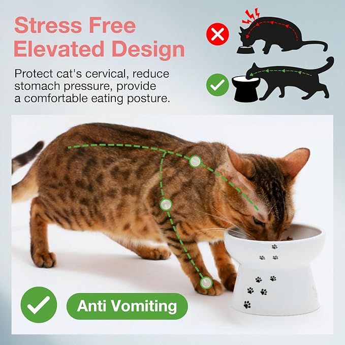 Necoichi Raised Stress Free Cat Food Bowl, Elevated, Backflow Prevention, Dishwasher and Microwave Safe, No.1 Seller in Japan! (Cat, Regular)