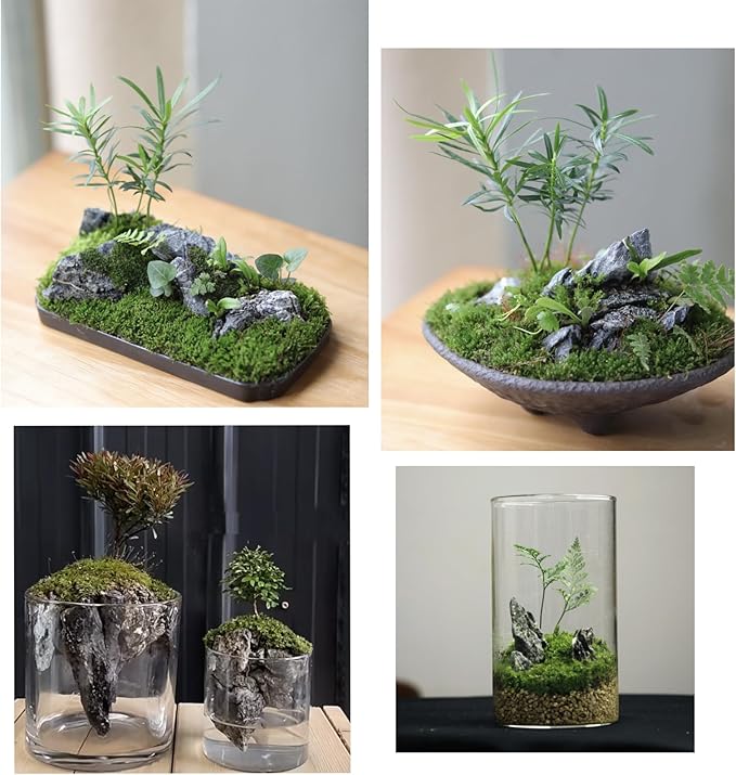 Unocho Aquarium Rocks Seiryu Rock Stone 11LB Dragon Stone for Aquariums Landscaping Model Tank Decoration Aquarium Miniature and Fairy Garden(3 to 8 inches)