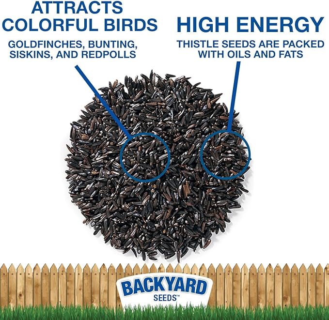Backyard Seeds Thistle Bird Seed for Finches 50 Pounds
