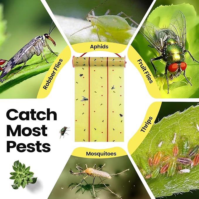 Qualirey Giant Sticky Fly Traps,30 Feet Fly Strips for Indoor Outdoor Hanging Flying Tapes Non Toxic Ribbon Fruit Gnat Killer for Mosquito Plants House Horse Stable (Fluorescent Green,5 Pcs)