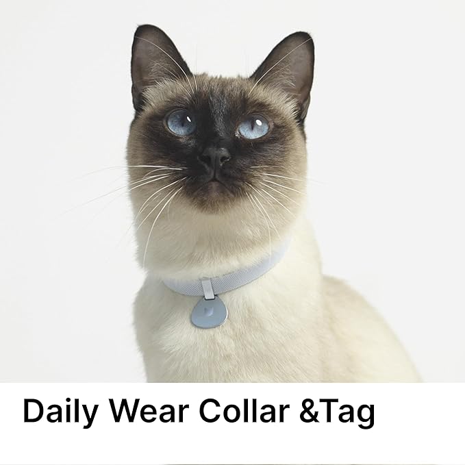 Safety Cat Collar and ID Tag Set, Elastic Quick Release Non Breakaway Collar, Personalized Aluminum Engraved Pet Name Tag, Lightweight for Kitten Small Large Cats (Alpine+Olive-S, Pocket)