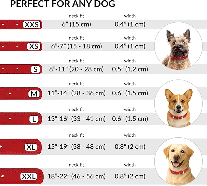 CollarDirect Rolled Leather Dog Collar, Soft Padded Round Puppy Collar, Handmade Genuine Leather Collar Dog Small Large Cat Collars 13 Colors (6 Inch, Red Smooth)