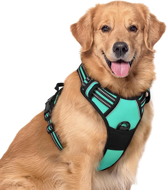 rabbitgoo Dog Harness No Pull with 2 Leash Clips, Adjustable Soft Padded, Reflective Oxford No Choke Pet Vest with Easy Control Handle for Large Dogs, Turquoise, XL