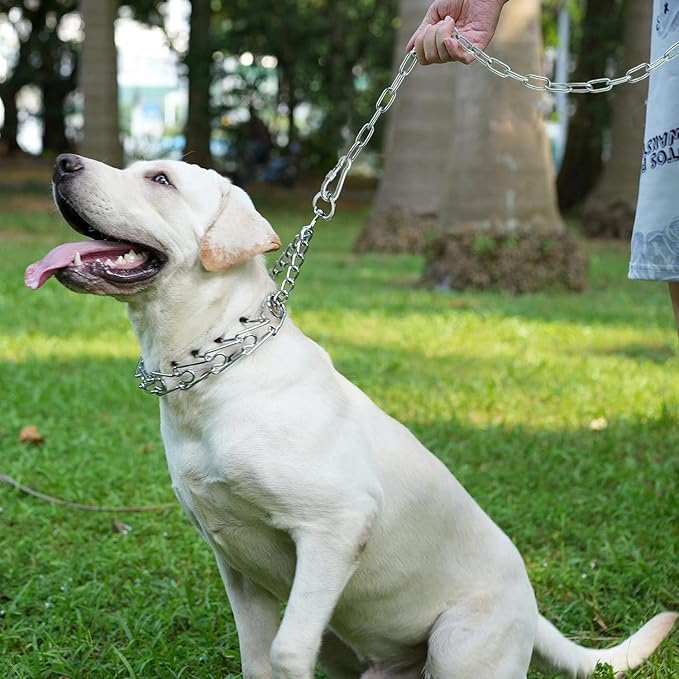 25ft Dog Chains for Outside - Heavy Duty Tie Out Chain Leash Great for Small to Large Dogs Up to 200Lbs - Chew Proof Long Chain for Yard Camping or Travel