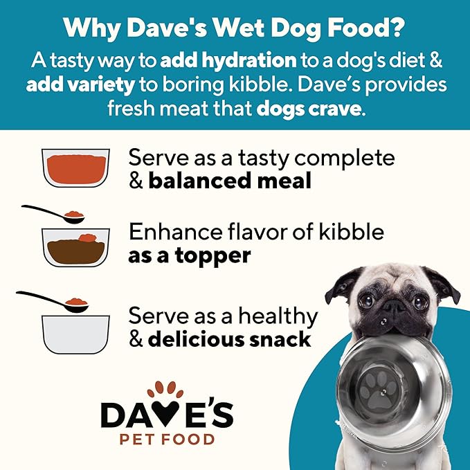 Dave's Pet Food Sensitive Skin Dog Food for Skin and Coat (Chicken & Sweet Potato), Wet Canned, Made in USA, 13.2oz Cans (12 Pack)