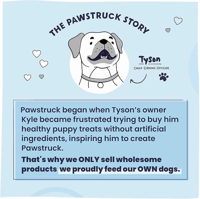 Pawstruck All-Natural 12" Bully Sticks for Dogs - Long Lasting, Rawhide-Free, Low Odor & Grain-Free Dental Chew Treat - Healthy Single Ingredient, 100% Real Beef - 1 lb Bag