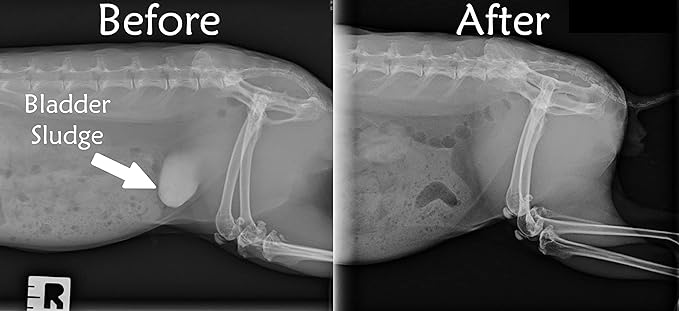 Sherwood Pet Health Adult Rabbit Food Timothy Hay Free-Choice 20lbs Hay-Based, Grain and Soy-Free for Better Digestion