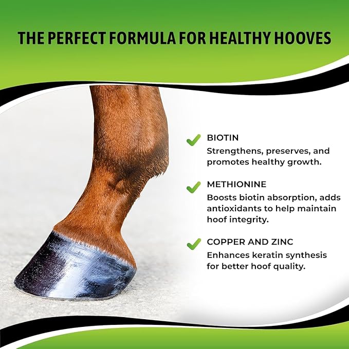 SynoStride All Natural, All-in-one, Joint and Hoof Health Supplement for Horses, Powder with Glucosamine, Chondroitin, Hyaluronic Acid, Biotin, Methionine, Trace Minerals (1080 Grams) x2