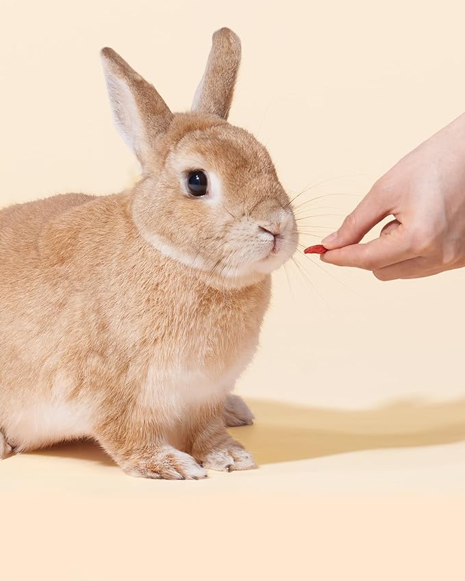 Niteangel Goji Berries Rabbits Snack Treats: 12pcs Natural Chew Toys for Bunny Chinchilla Guinea Pigs and Other Small Animals