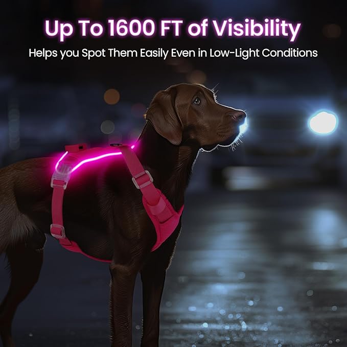 Light Up Dog Harness,Reflective Pet Harness Rechargeable,Led Dog Vest Harness for Night Walking,Adjustable Dog Safety Vest for Small Medium Large Dogs-No Pull,Pink,S