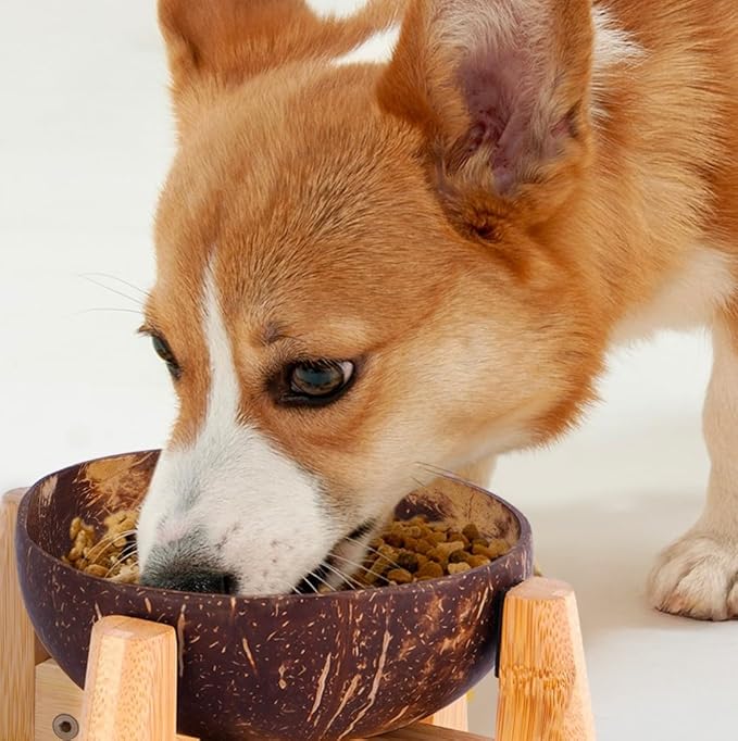 Raised Dog Bowl for Small Dog - Elevated, Ants-Off Stand, Real Coco Bowl, Height 5-inch, 33-oz Dish Capacity - Coconut/Bamboo Natural Calming Effect