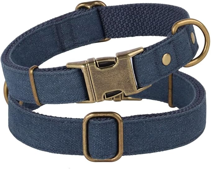 PET ARTIST Dog Collars for Medium Dogs, Soft Padded Premium Nylon Dog Collar with Quick Release Metal Buckle, Durable & Adjustable Pet Collars for Boy Gifts, Blue, M (Fit 13-20")