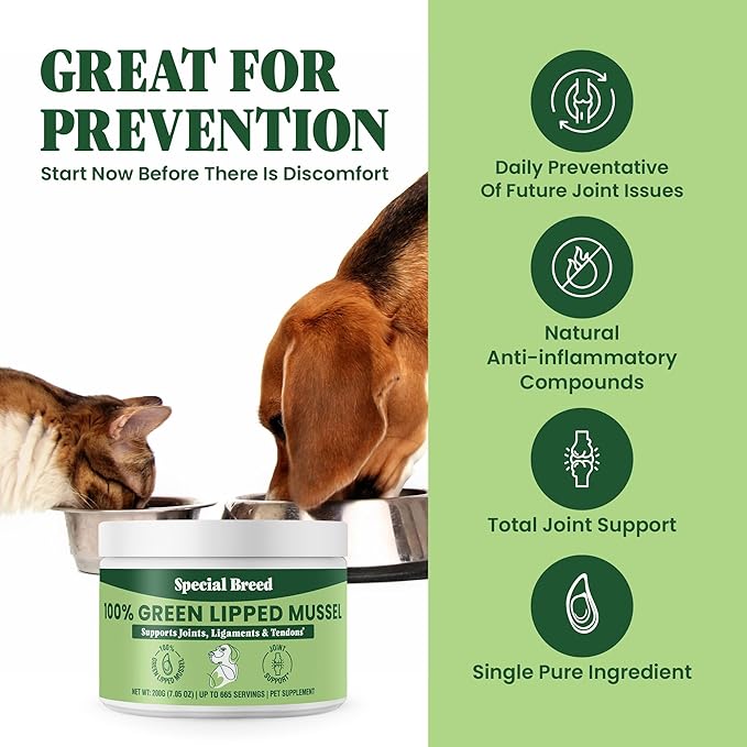 Special Breed Green Lipped Mussel Powder for Dogs & Cats - 100% New Zealand Green Lipped Mussels - Natural Hip & Joint Supplement for Joints, Tendons, Ligaments, Muscles - 200 Grams - 665 Servings