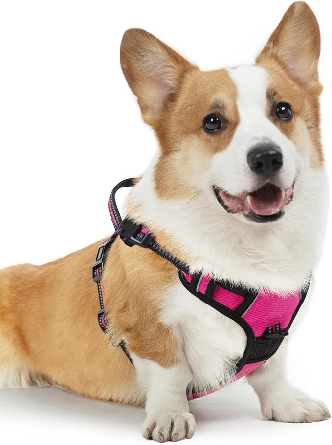 PUPTECK No Pull Dog Harness Medium Sized, Adjustable Reflective Dog Harness with Handle Easy Control, Comfortable Soft Padded Pet Vest Harness for Medium Dogs, Fuschia M